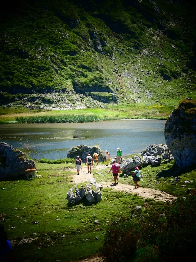 cómo llegar a los Lagos de Covadonga