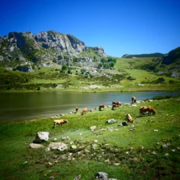 cómo llegar a los Lagos de Covadonga