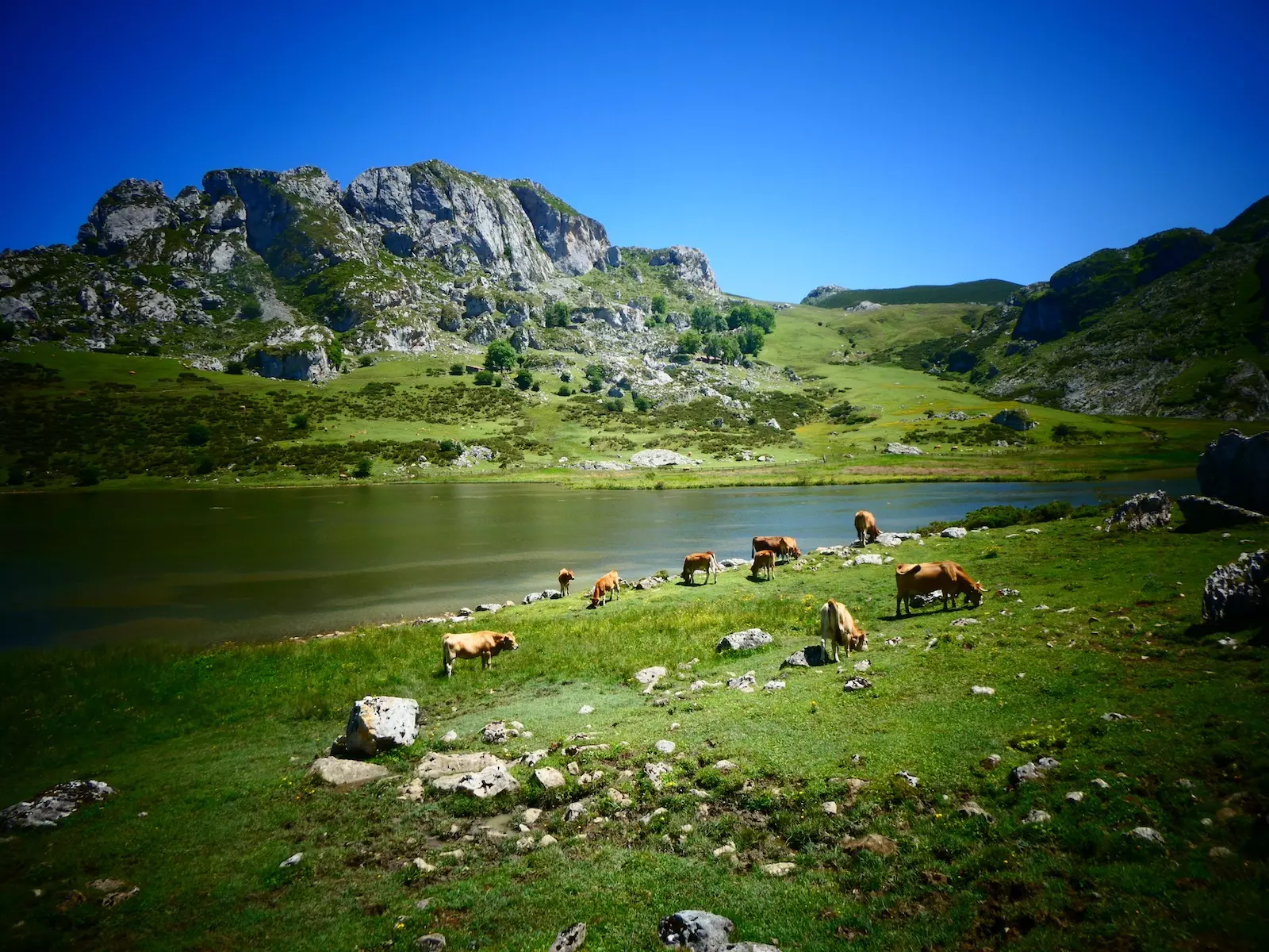 cómo llegar a los Lagos de Covadonga