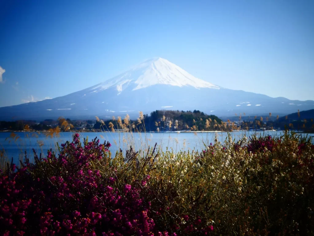 Excursiones desde Tokio