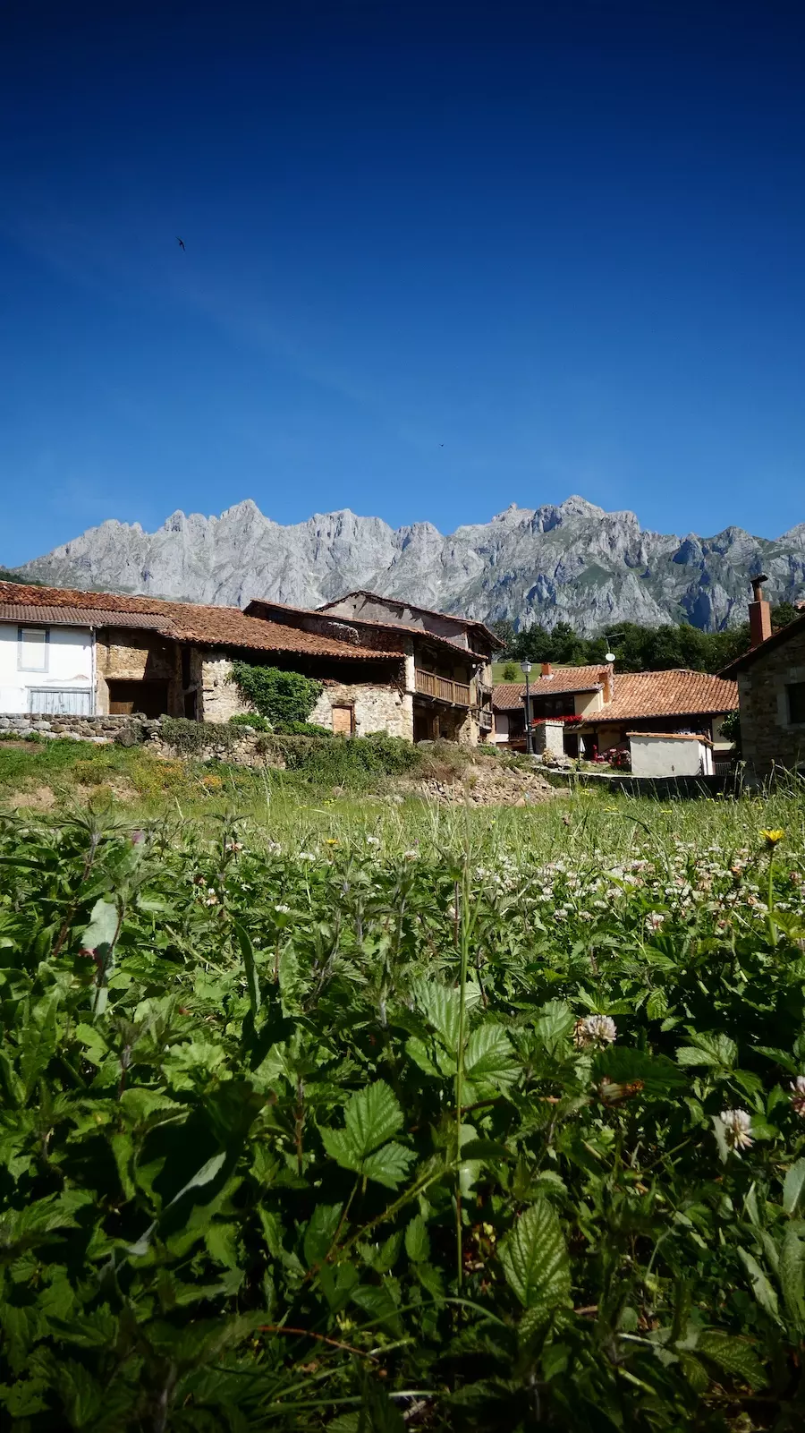 qué ver en picos de europa