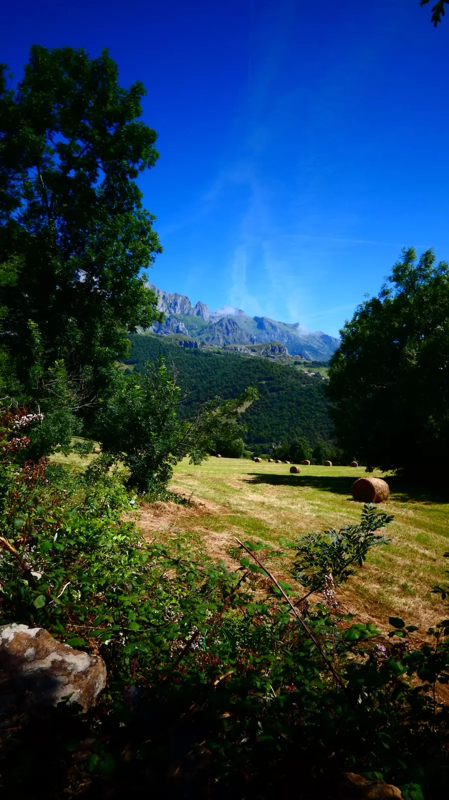 qué ver en picos de europa