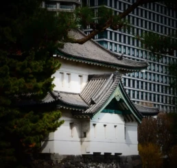 Hoteles en Tokio 5 estrellas