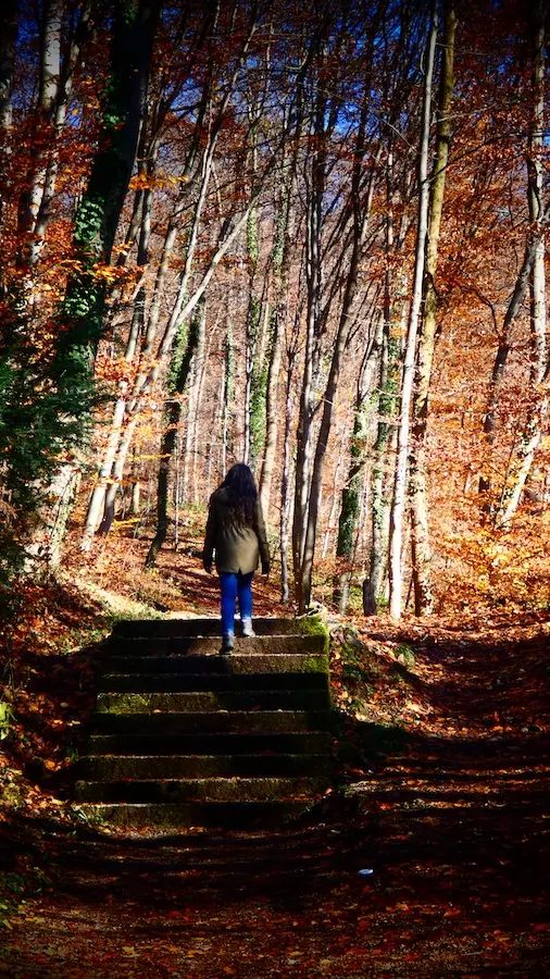 Qué ver en Salzburgo