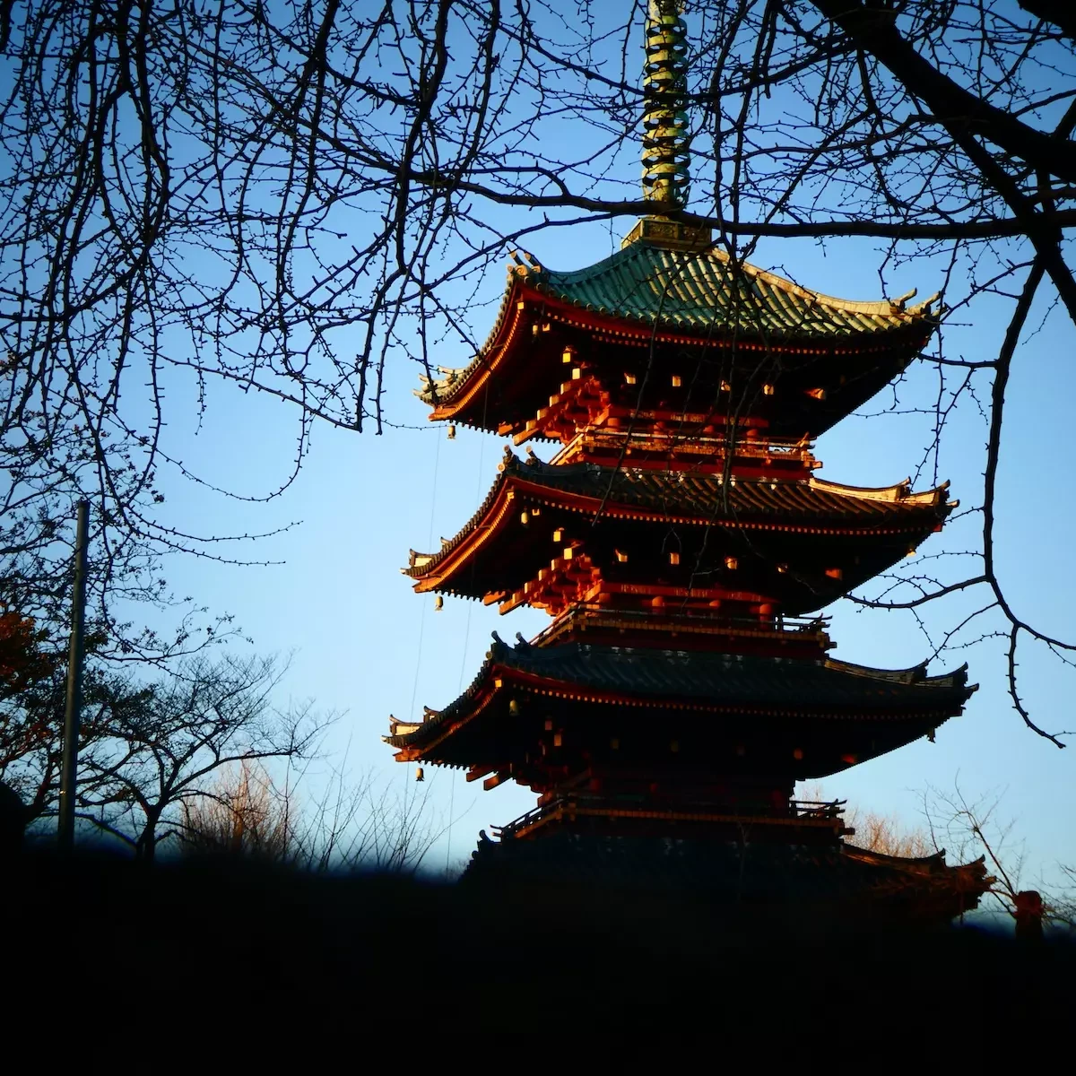 dónde dormir en Tokio