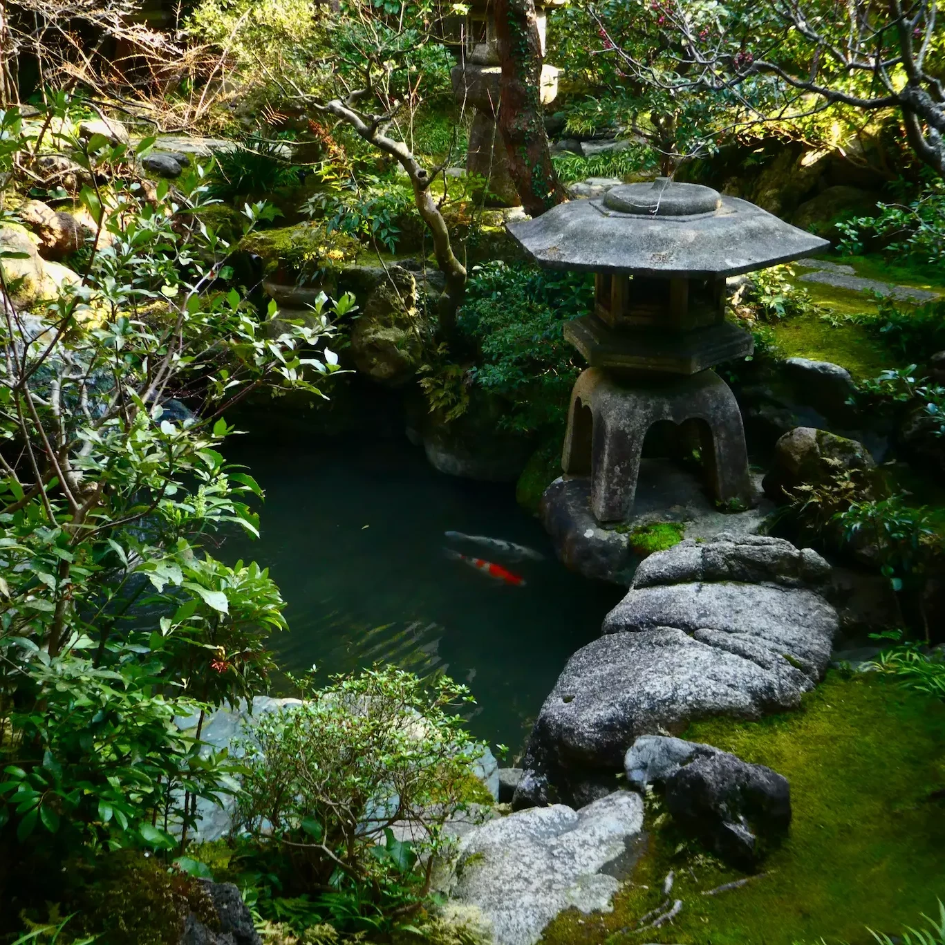 Hoteles ryokan en Tokio