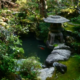 Hoteles ryokan en Tokio