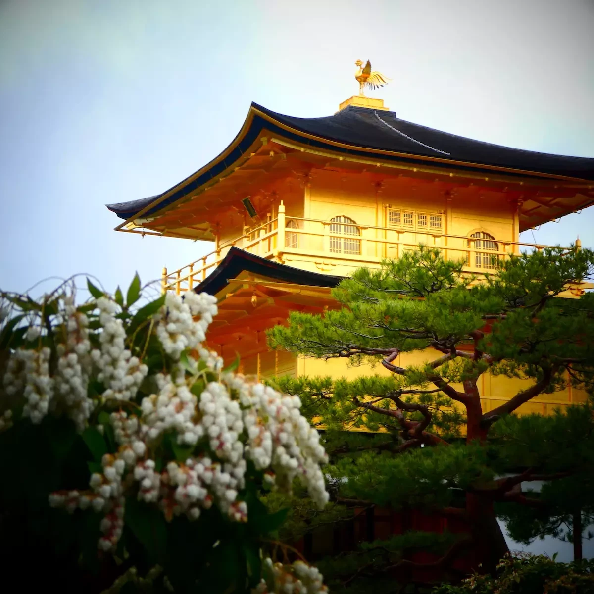 Pabellón Dorado de Kioto