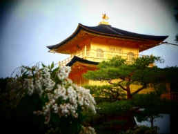 Pabellón Dorado de Kioto