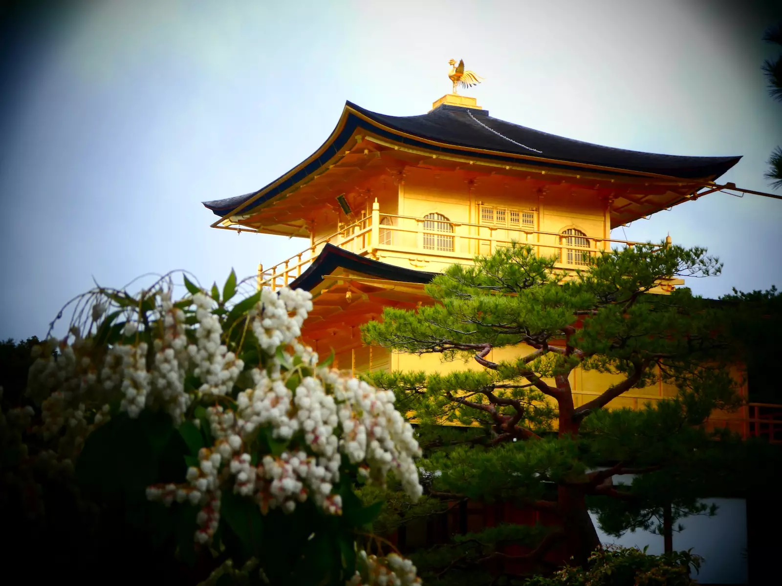 dónde alojarse en Kioto