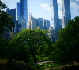 primer viaje a nueva york por libre